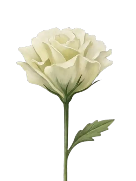 Flower 1